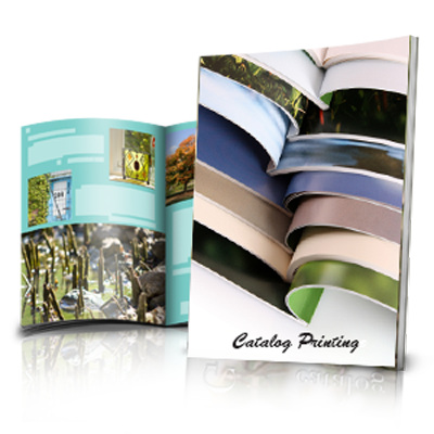  Catalogs or Booklets Color Printing 8.5" x 5.5"